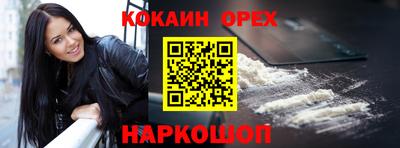 крисы Кулебаки