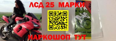 сатива Краснокаменск
