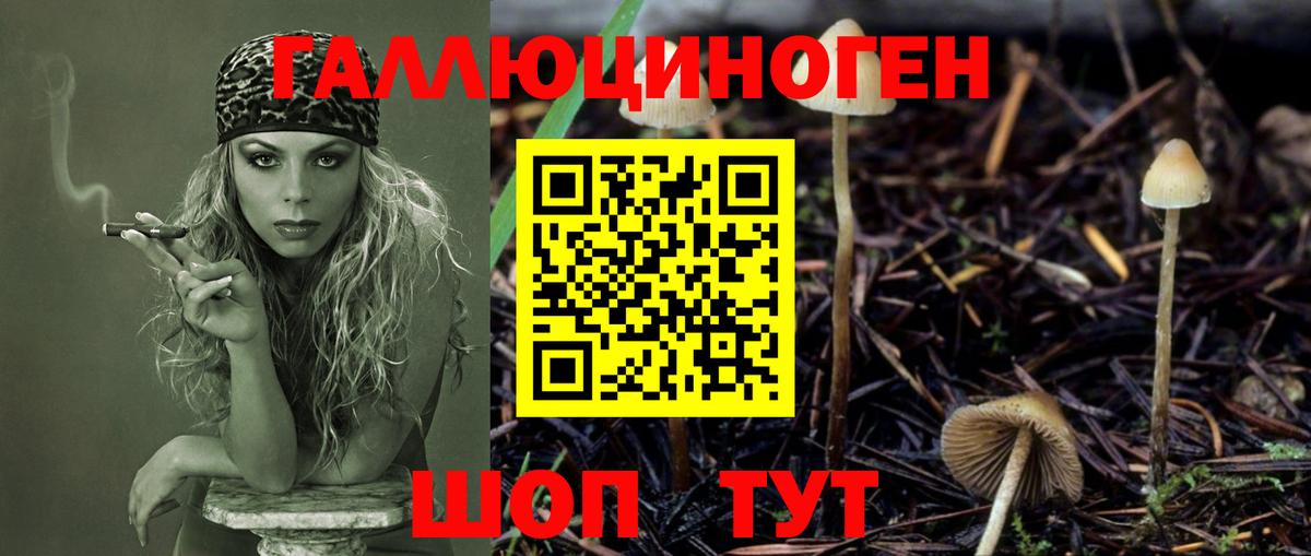 Костомукша  Галлюциногенные грибы прущие грибы  Вход с VPN 